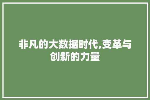 非凡的大数据时代,变革与创新的力量 必应SEO