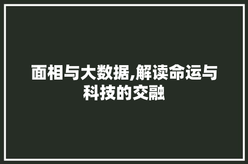 面相与大数据,解读命运与科技的交融 GoogleSEO