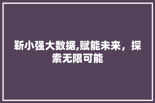 靳小强大数据,赋能未来，探索无限可能 神马SEO
