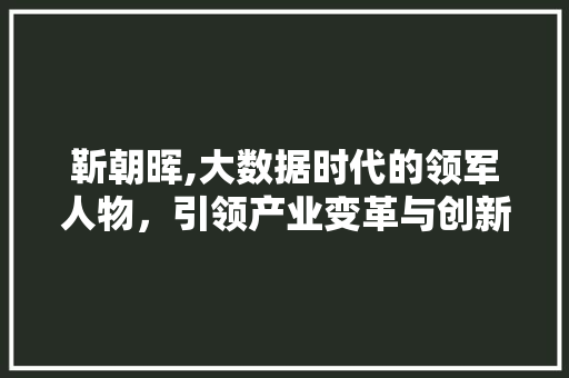 靳朝晖,大数据时代的领军人物，引领产业变革与创新 百度SEO