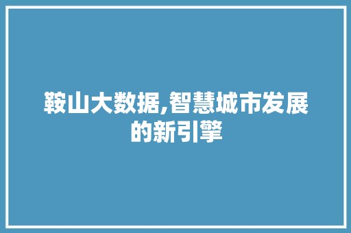鞍山大数据,智慧城市发展的新引擎 GoogleSEO