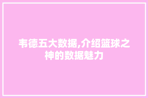 韦德五大数据,介绍篮球之神的数据魅力 搜狗SEO