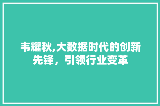 韦耀秋,大数据时代的创新先锋，引领行业变革 搜狗SEO