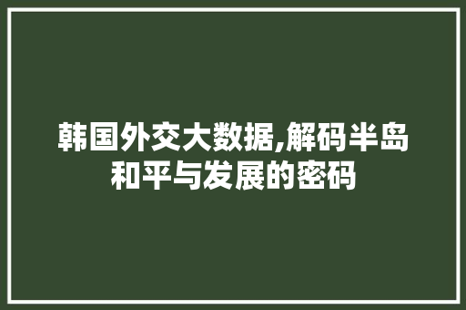 韩国外交大数据,解码半岛和平与发展的密码 必应SEO