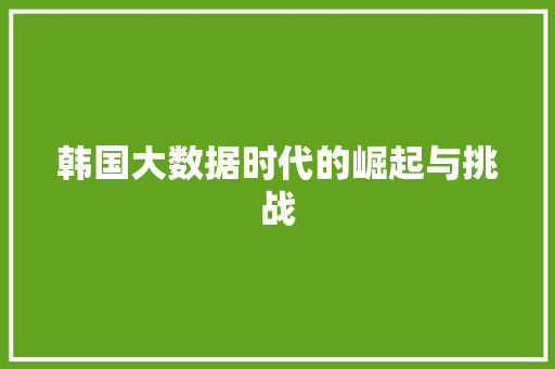 韩国大数据时代的崛起与挑战 GoogleSEO