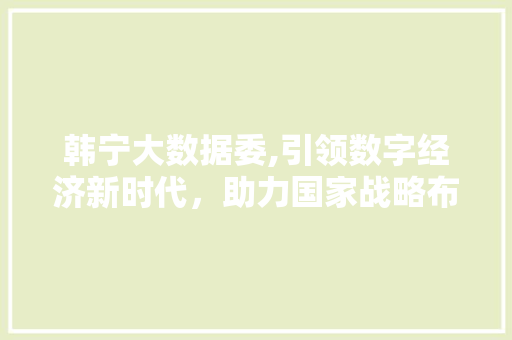 韩宁大数据委,引领数字经济新时代，助力国家战略布局 搜狗SEO