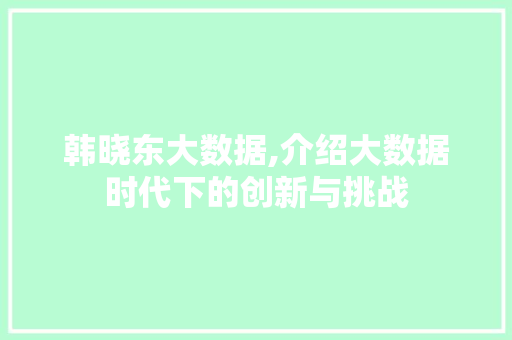 韩晓东大数据,介绍大数据时代下的创新与挑战 必应SEO
