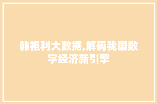 韩祖利大数据,解码我国数字经济新引擎 百度SEO