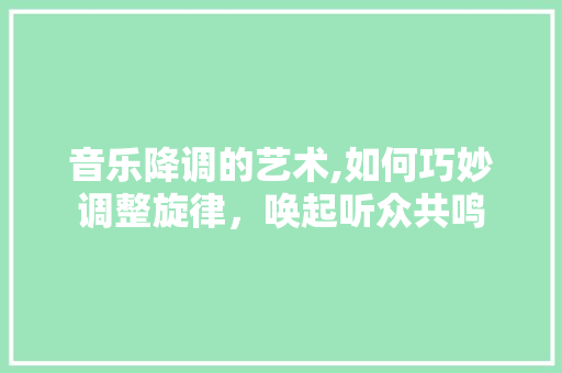 音乐降调的艺术,如何巧妙调整旋律，唤起听众共鸣