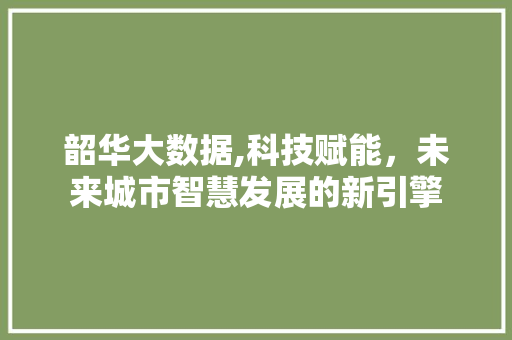 韶华大数据,科技赋能，未来城市智慧发展的新引擎 神马SEO