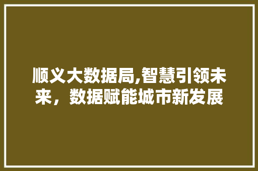 顺义大数据局,智慧引领未来，数据赋能城市新发展 神马SEO