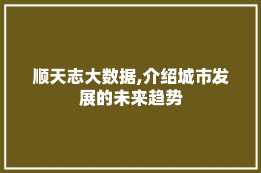 顺天志大数据,介绍城市发展的未来趋势 神马SEO