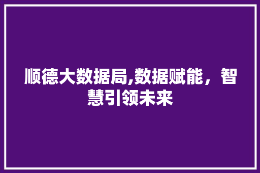 顺德大数据局,数据赋能，智慧引领未来 GoogleSEO