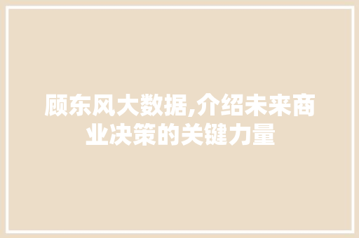 顾东风大数据,介绍未来商业决策的关键力量 必应SEO