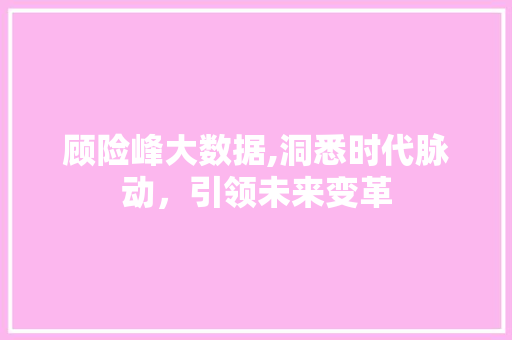 顾险峰大数据,洞悉时代脉动，引领未来变革 必应SEO