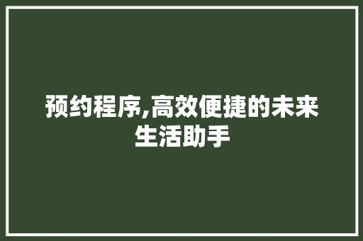 预约程序,高效便捷的未来生活助手 GoogleSEO