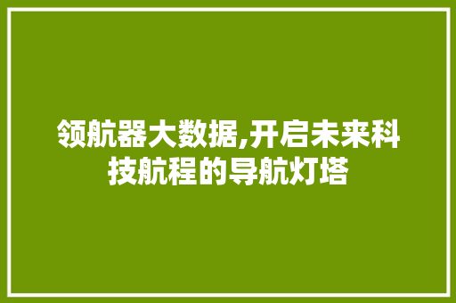 领航器大数据,开启未来科技航程的导航灯塔 搜狗SEO