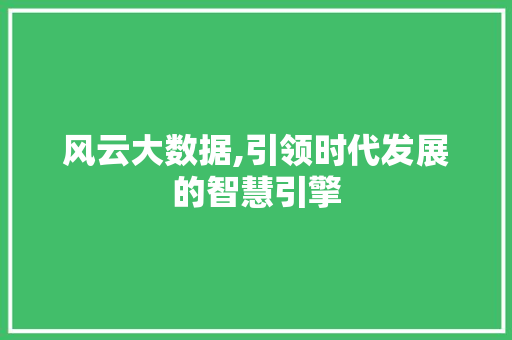 风云大数据,引领时代发展的智慧引擎 神马SEO