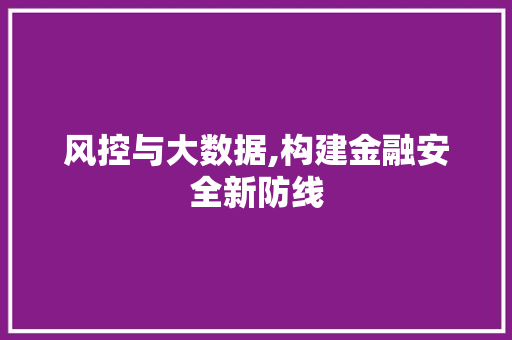 风控与大数据,构建金融安全新防线 神马SEO