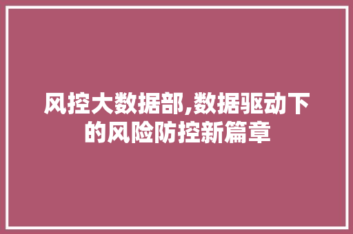 风控大数据部,数据驱动下的风险防控新篇章 必应SEO