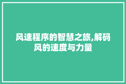 风速程序的智慧之旅,解码风的速度与力量 神马SEO