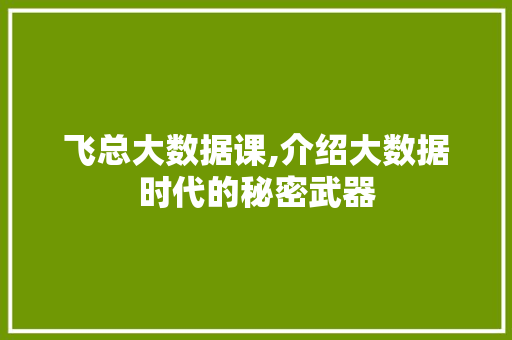飞总大数据课,介绍大数据时代的秘密武器 GoogleSEO