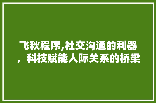 飞秋程序,社交沟通的利器，科技赋能人际关系的桥梁 必应SEO