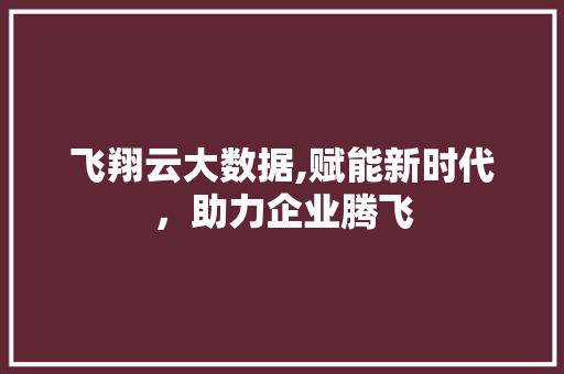 飞翔云大数据,赋能新时代，助力企业腾飞 GoogleSEO