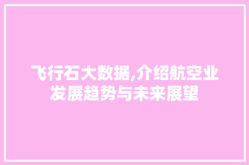 飞行石大数据,介绍航空业发展趋势与未来展望 神马SEO