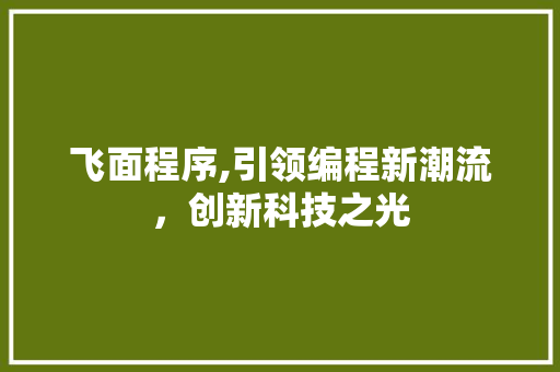 飞面程序,引领编程新潮流，创新科技之光 百度SEO