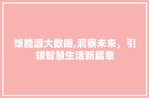 饭能源大数据,洞察未来，引领智慧生活新篇章