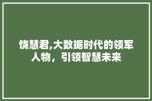 饶慧君,大数据时代的领军人物，引领智慧未来 必应SEO