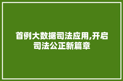 首例大数据司法应用,开启司法公正新篇章 GoogleSEO