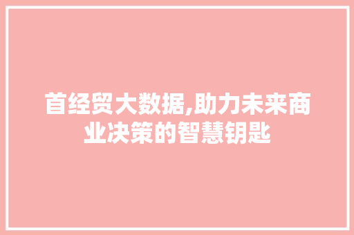 首经贸大数据,助力未来商业决策的智慧钥匙 GoogleSEO