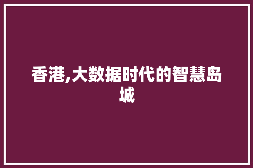 香港,大数据时代的智慧岛城 GoogleSEO