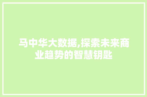 马中华大数据,探索未来商业趋势的智慧钥匙 搜狗SEO