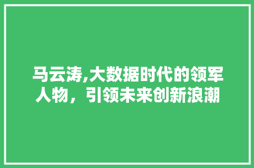 马云涛,大数据时代的领军人物，引领未来创新浪潮 搜狗SEO