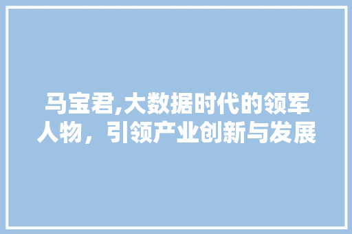 马宝君,大数据时代的领军人物，引领产业创新与发展 百度SEO