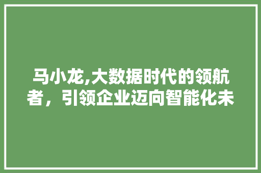 马小龙,大数据时代的领航者，引领企业迈向智能化未来 百度SEO