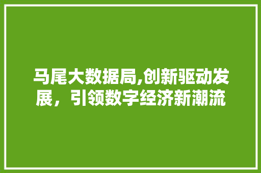 马尾大数据局,创新驱动发展，引领数字经济新潮流 百度SEO