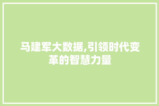 马建军大数据,引领时代变革的智慧力量 百度SEO