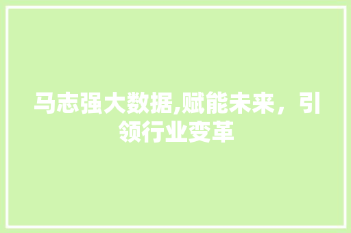 马志强大数据,赋能未来，引领行业变革 神马SEO