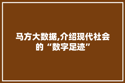 马方大数据,介绍现代社会的“数字足迹” 神马SEO