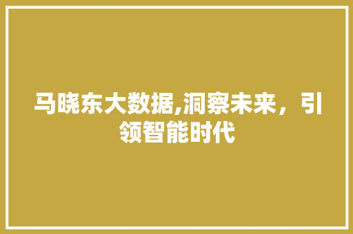 马晓东大数据,洞察未来，引领智能时代 GoogleSEO