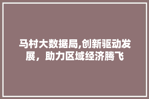 马村大数据局,创新驱动发展，助力区域经济腾飞 神马SEO