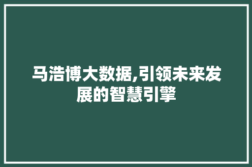 马浩博大数据,引领未来发展的智慧引擎 神马SEO
