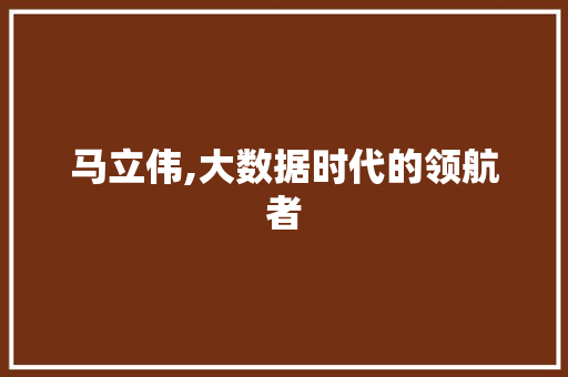 马立伟,大数据时代的领航者 搜狗SEO