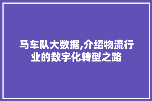 马车队大数据,介绍物流行业的数字化转型之路 GoogleSEO