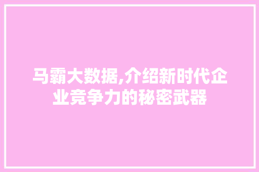 马霸大数据,介绍新时代企业竞争力的秘密武器 必应SEO