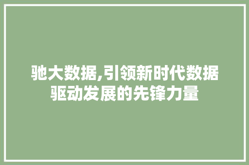 驰大数据,引领新时代数据驱动发展的先锋力量 GoogleSEO